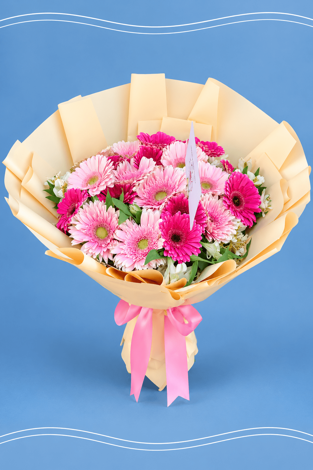 Ramo de gerberas rosas sobre azul