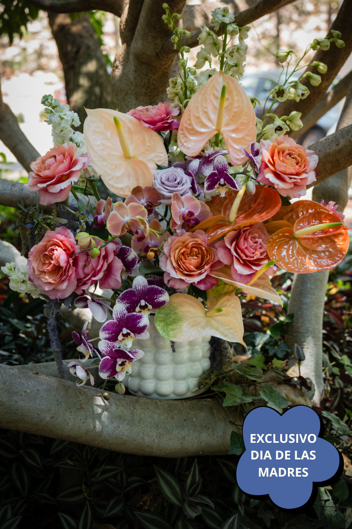 MEDIDA PARA PAGINA - 2026-04-21T133109.991