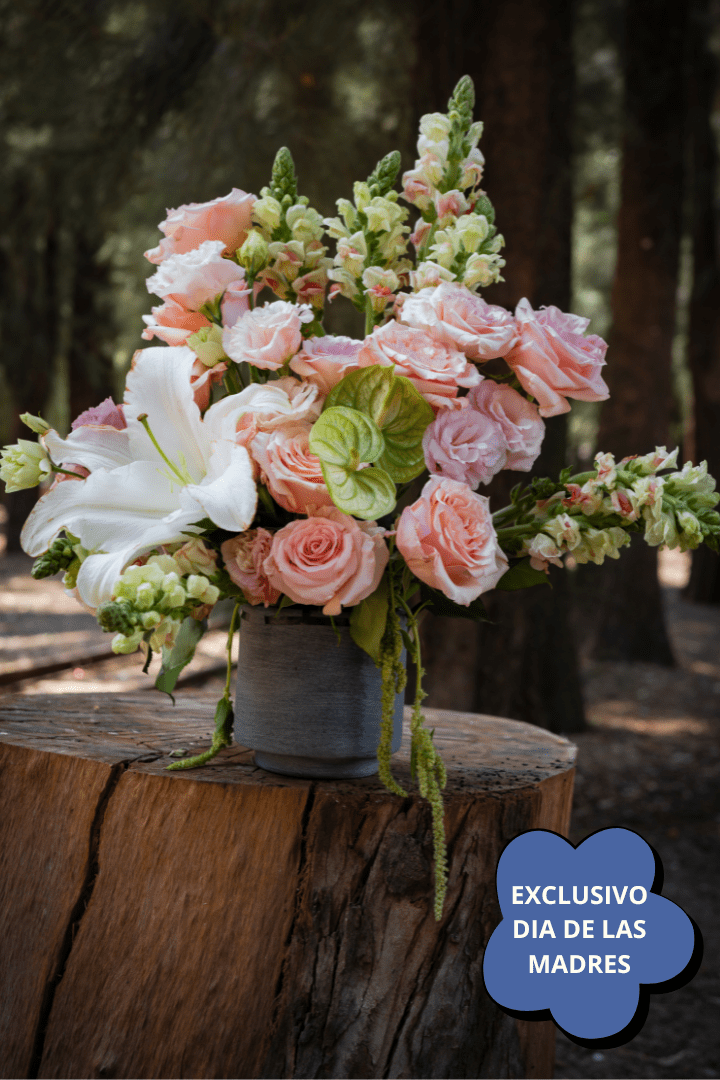 MEDIDA PARA PAGINA - 2026-04-21T135124.000