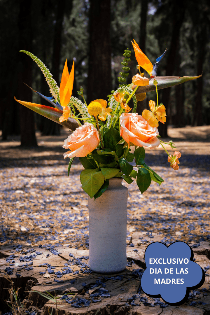 MEDIDA PARA PAGINA - 2026-04-21T140333.709